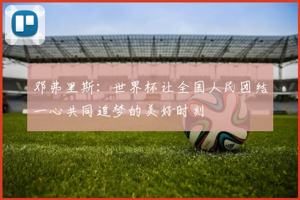 邓弗里斯：世界杯让全国人民团结一心共同追梦的美好时刻